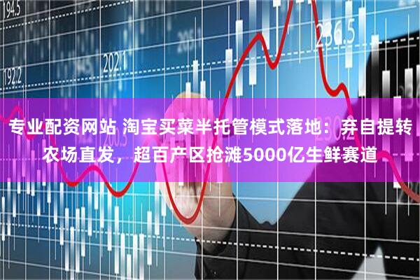 专业配资网站 淘宝买菜半托管模式落地：弃自提转农场直发，超百产区抢滩5000亿生鲜赛道