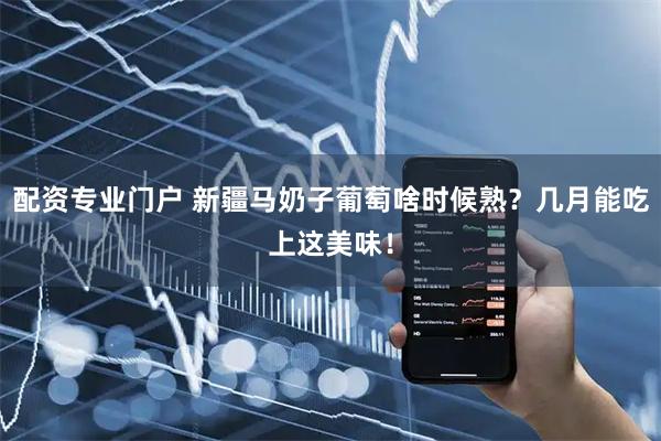 配资专业门户 新疆马奶子葡萄啥时候熟？几月能吃上这美味！